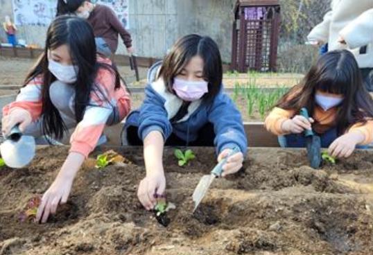 지구를 사랑하는 꼬마농부 프로그램